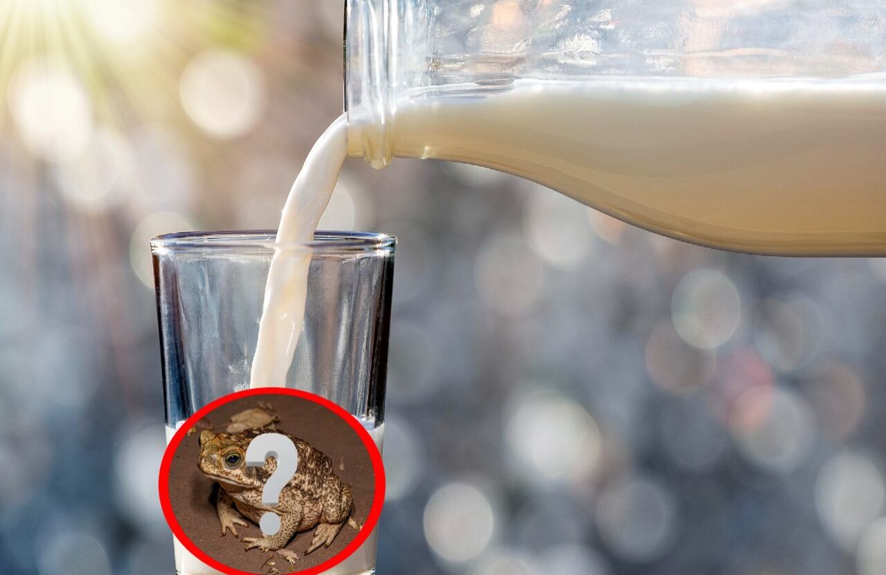 Aunque esta costumbre puede parecer absurda o carente de lógica desde una mirada moderna, no se trataba de una simple superstición.