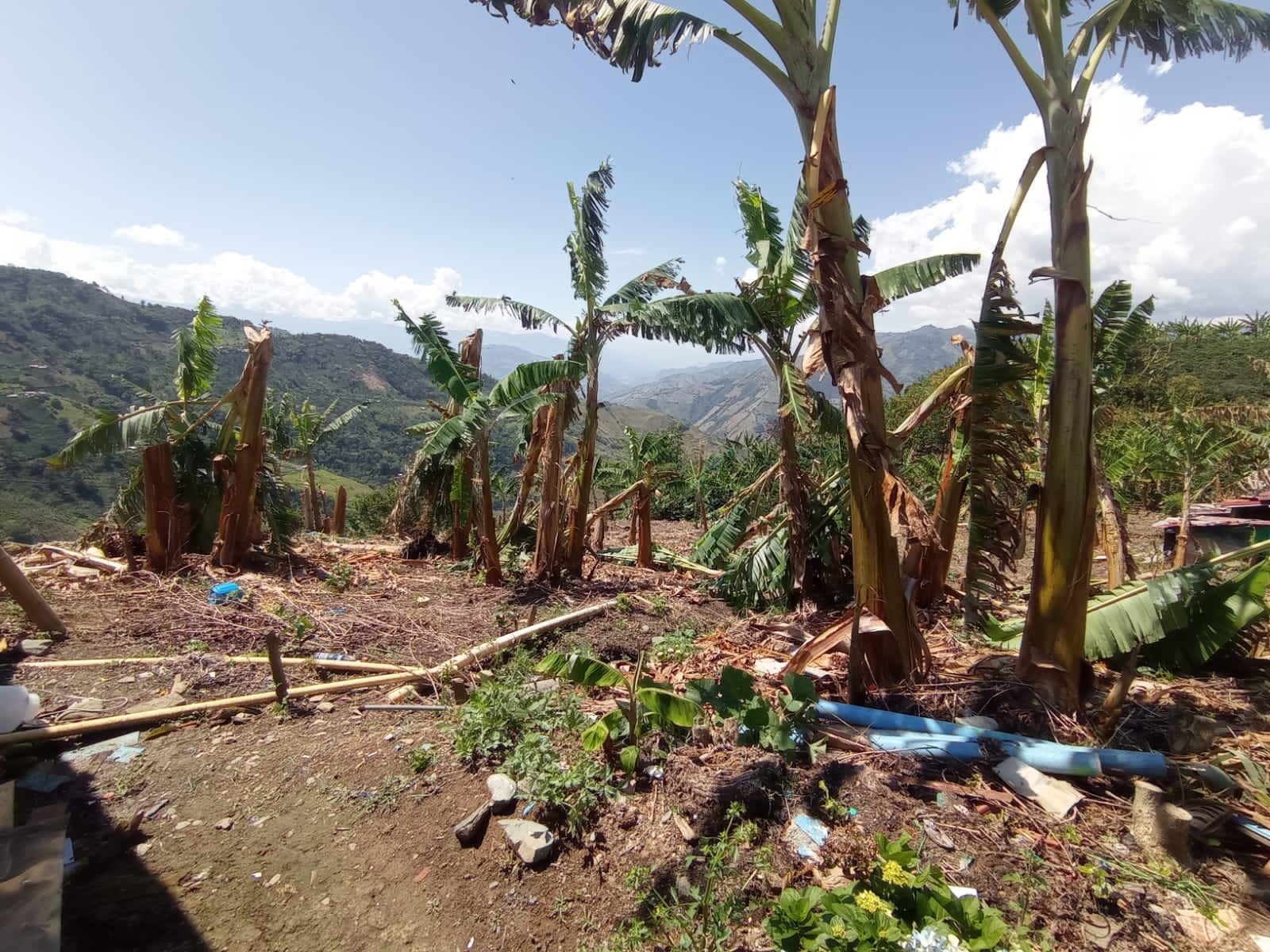Las autoridades entregan las ayudas humanitarias a las familias damnificadas