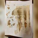 La botella fue arrojada al río Tallahatchie, debajo de la presa del lago Saris y recorrió 295 millas de río por el delta del Mississippi.