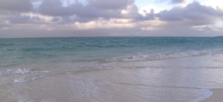 Según refieren medios internacionales, el récord mundial se logró luego de superar la anterior marca, que reposaba en manos de dos profesores de la Universidad de Tennesse, identificados como Bruce Cantrell y Jessica Fain, quienes consiguieron una permanencia de 73 días, 2 horas y 34 minutos; un logro también conseguido en el estado de Florida.