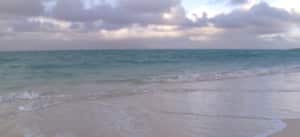 Reunir datos y mapas del océano es un gran problema; un informe sobre sus características puede venir en más de 100 formatos y pesar varios terabytes.