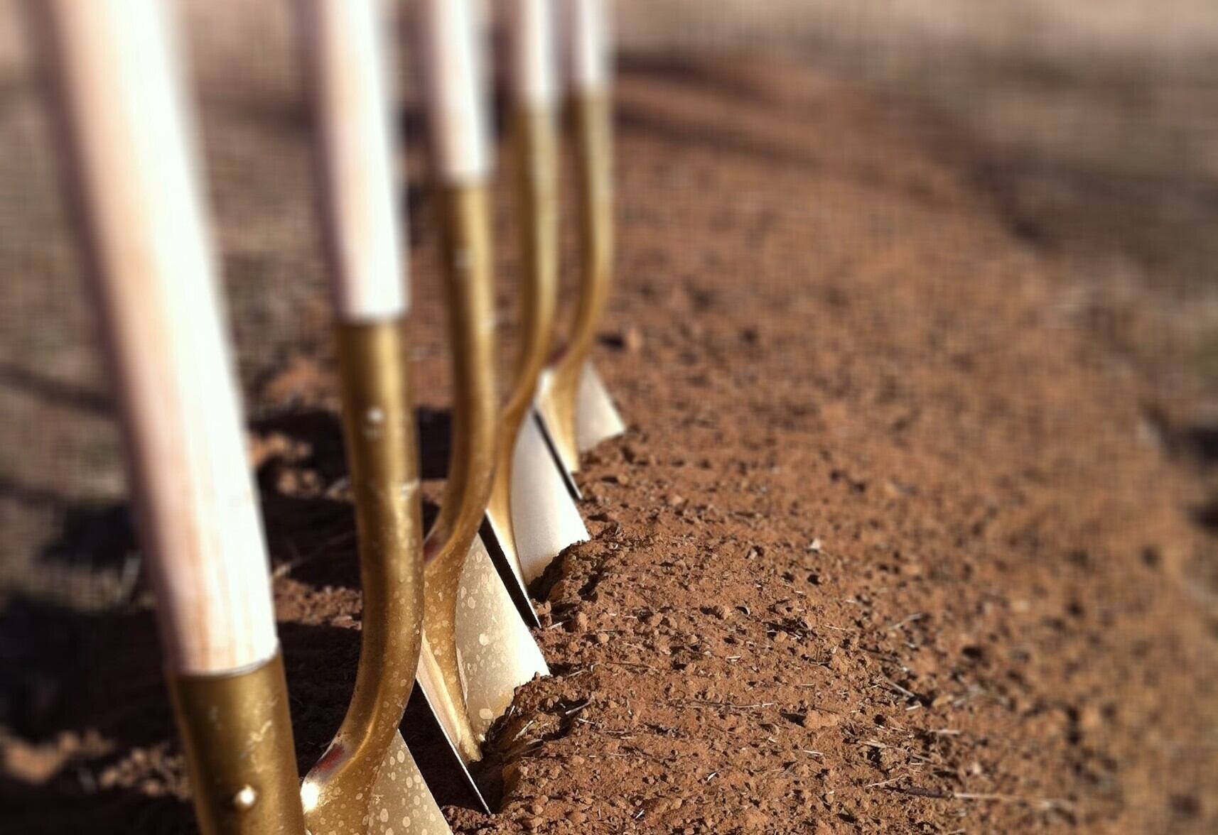 morros aura: un moderno proyecto de apartamentos para vivir frente al mar en Cartagena.