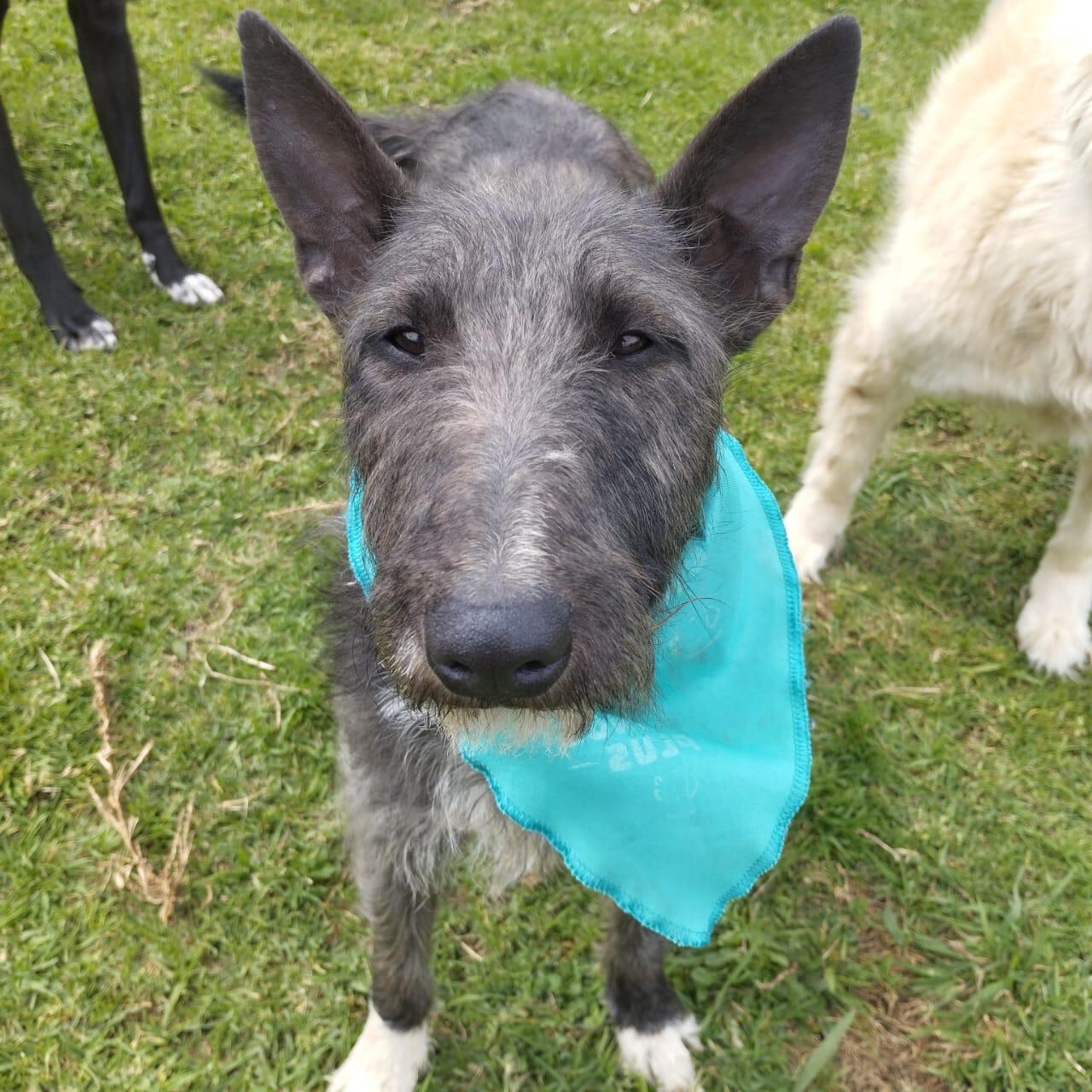 Tayron está perdido en Bogotá