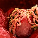 Los parásitos intestinales pueden generarse por el consumo de agua contaminada.