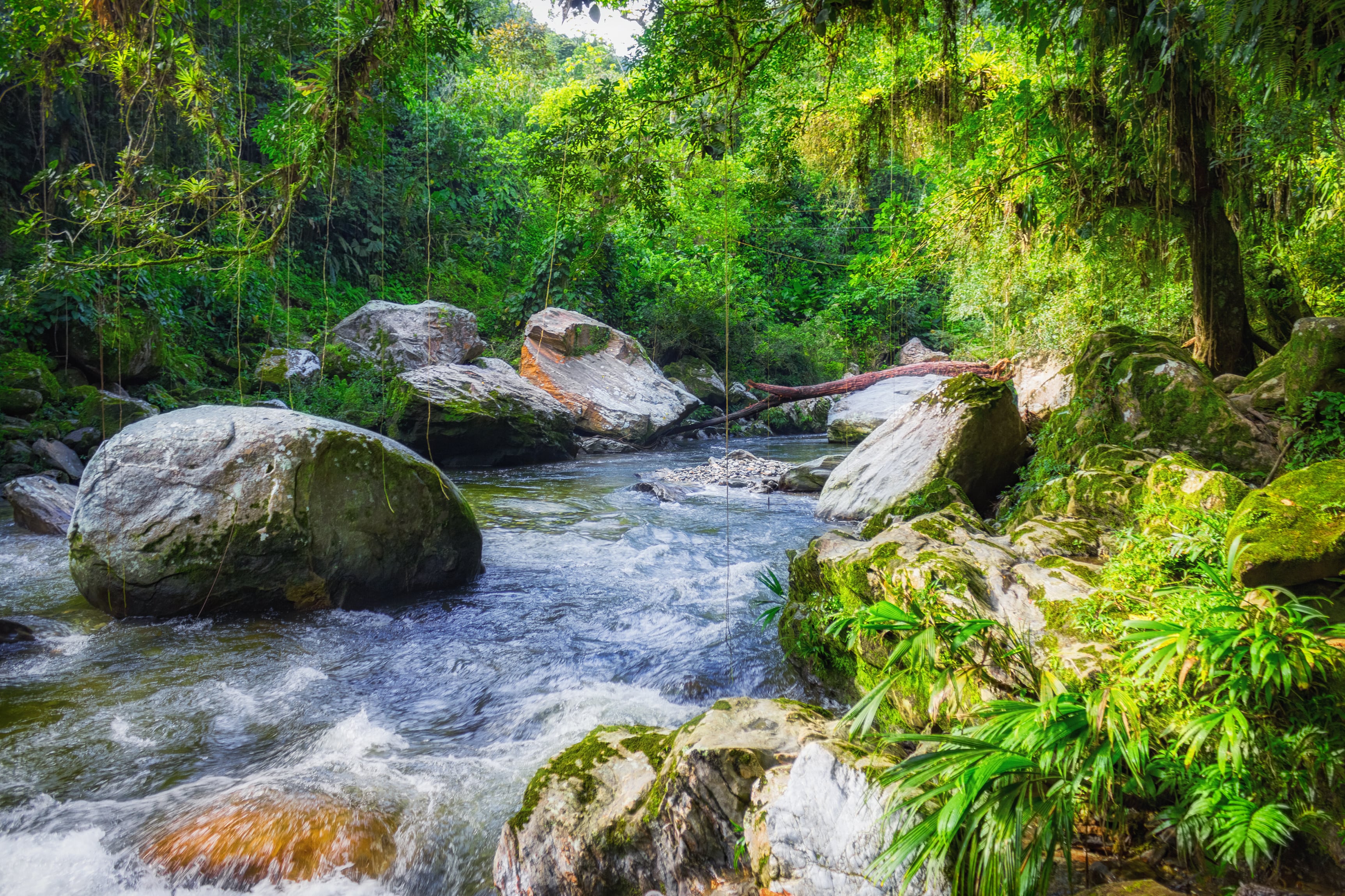 Ciudad Perdida, en Santa Marta: historia y cómo llegar a este maravilloso destino de Colombia