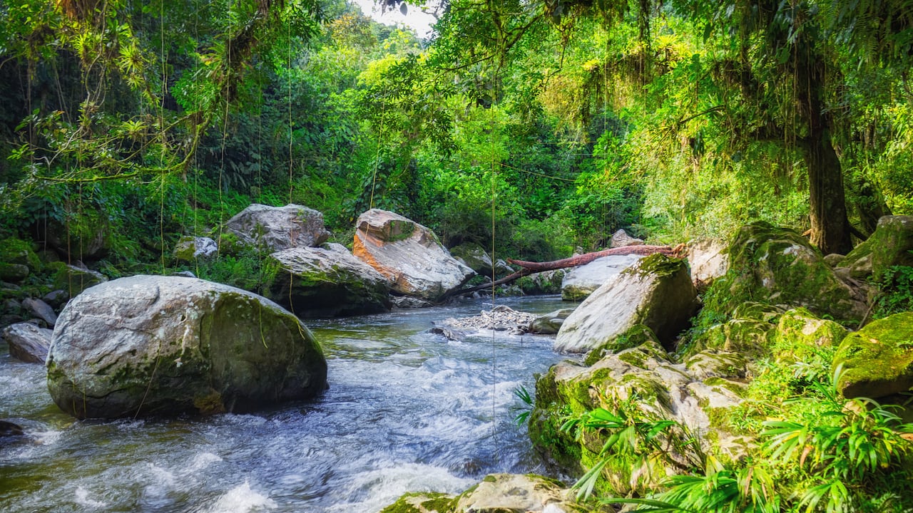 Foto de un río en la selva verde encontrada en el camino de la caminata de 4 días a Ciudad Perdida, Sierra Nevada de Santa Marta, Colombia, Sudamérica.