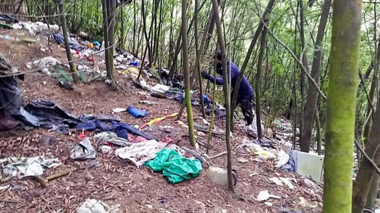 Las autoridades en la búsqueda de perros muertos en el norte de Bogotá