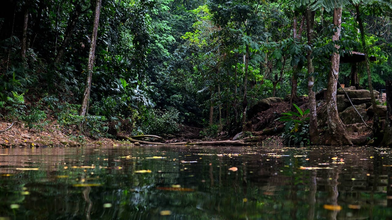 San Vicente del Caguán le está apostando a la generación operadores turísticos y hoteles.