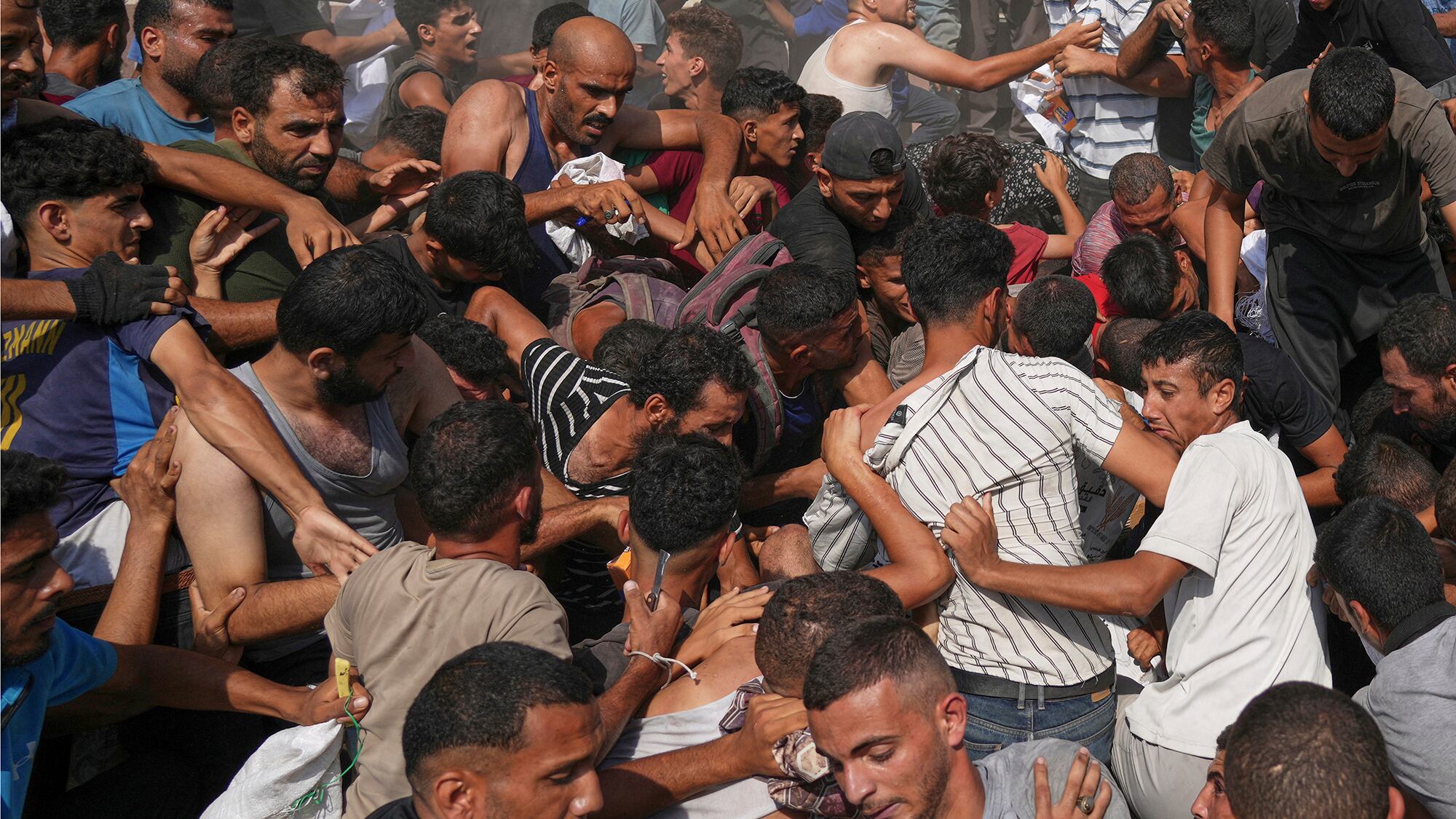 Fotos de la semana 15 agosto