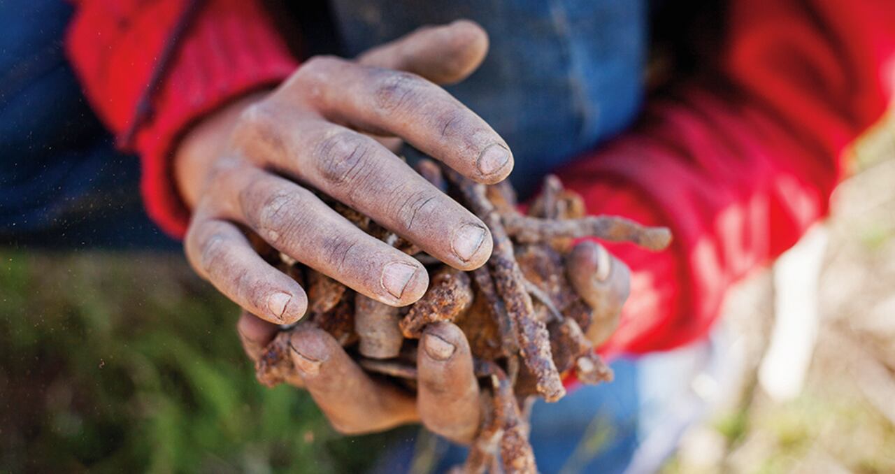 Los videos en los que exponen a los niños no están penalizados en redes sociales como TikTok. Autoridades les siguen la pista a estos perfiles que incitan al reclutamiento no forzado de niños y adolescentes. Ofrecen dinero y poder.