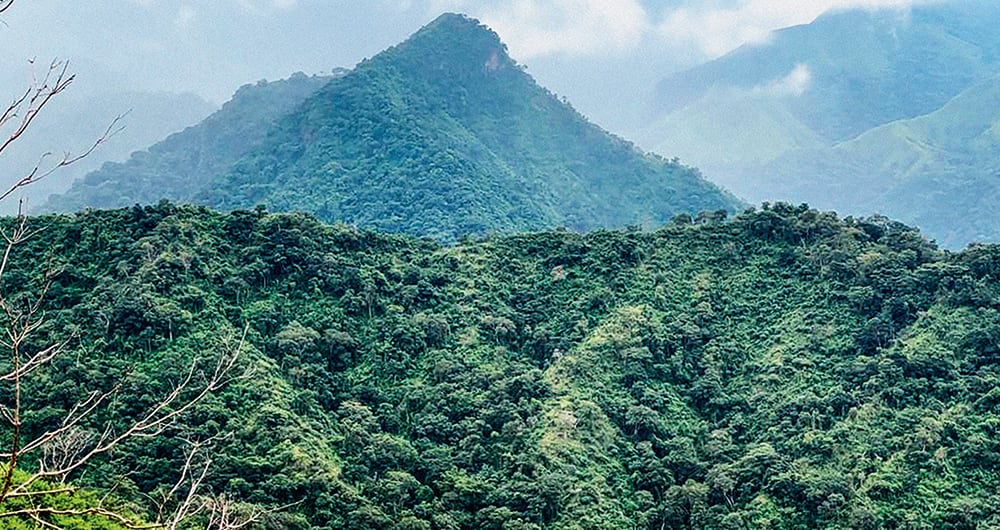 Frontera de Colombia con Venezuela, lugar donde estaría secuestrado el padre de Luis Díaz.