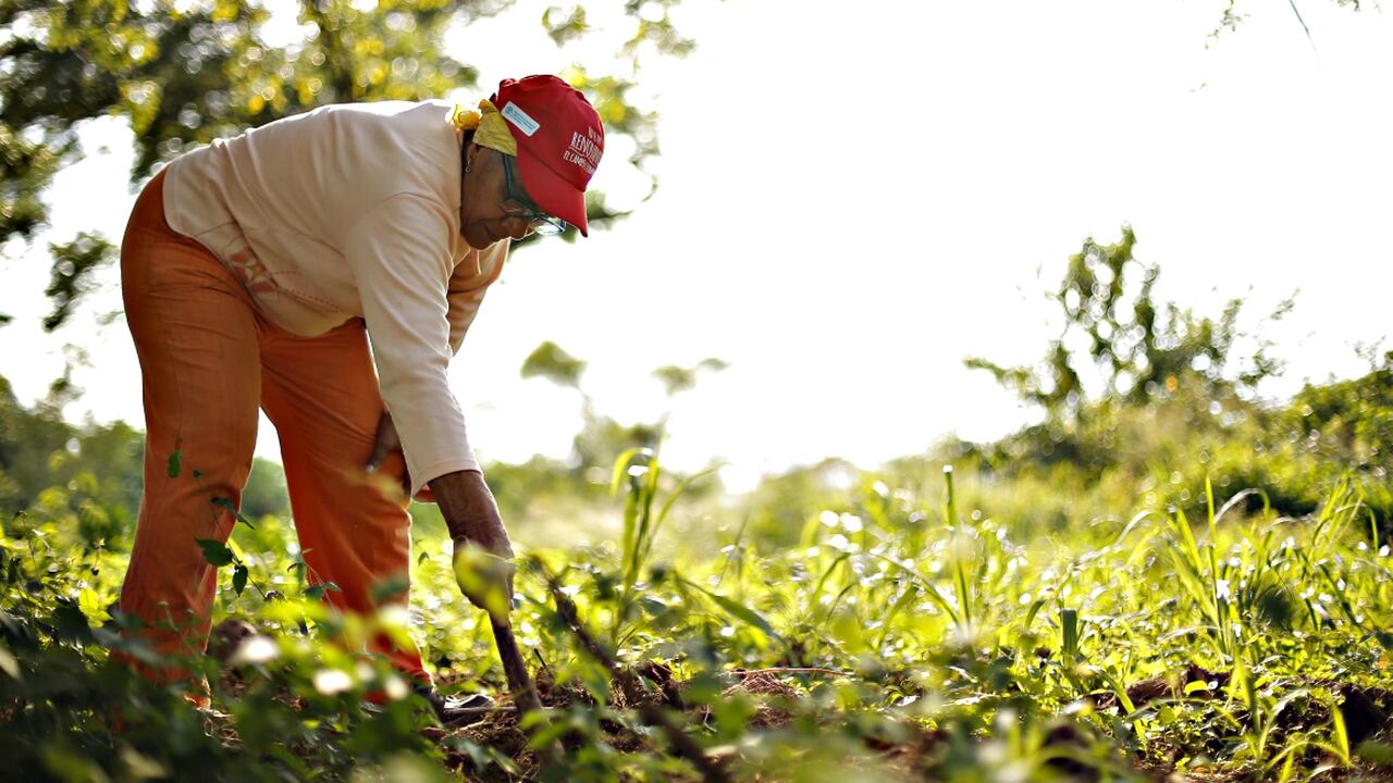 El censó 2018 reveló que la población rural ha disminuido de manera constante en los últimos años.