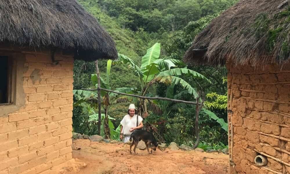 Los arahuacos habitan la Sierra Nevada y viven del cultivo de café, fríjol, plátano y ayo. FOTO: Jhorllana Romero