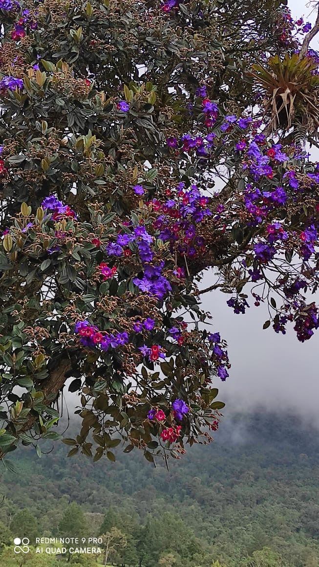 Choachí, Cundinamarca