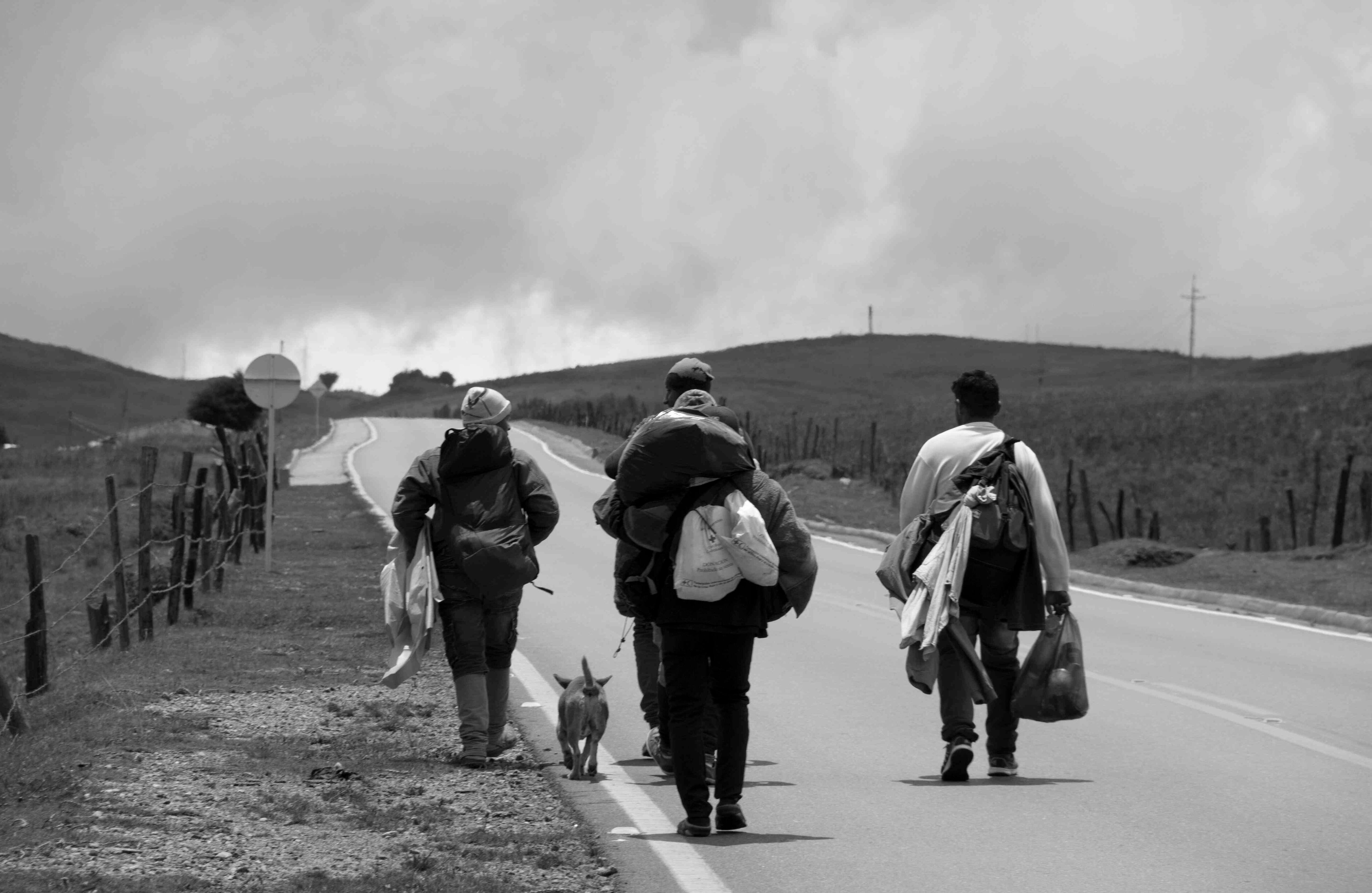 Se cuentan por cientos los caminantes venezolanos que todos los días pasan por las montañas de Santander. Este grupo iba con un perrito que no se separó de ellos ni en los momentos más difíciles.