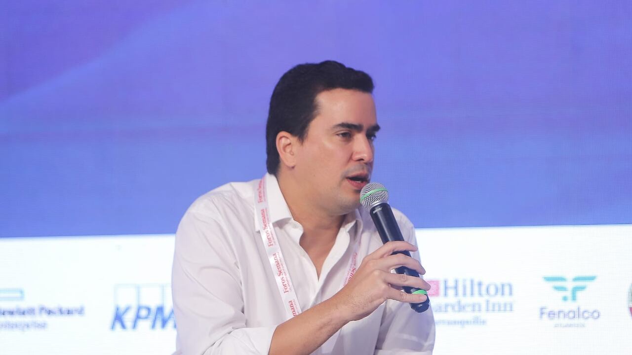 Lucas Ariza, director de Asoportuaria