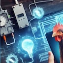 Científicos trabajan en un sistema para generar electricidad limpia usando plumas de pollo.