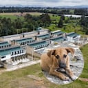 Casa Ecológica de los Animales.