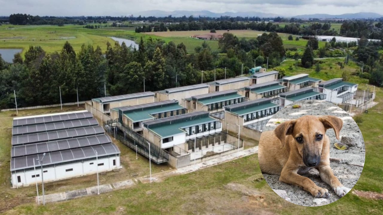 Casa Ecológica de los Animales.