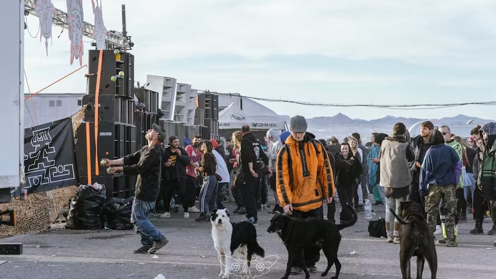 Imagen de una rave ilegal en Fuente Álamo, Murcia (España). Polilla Prods, Author provided (no reuse)
