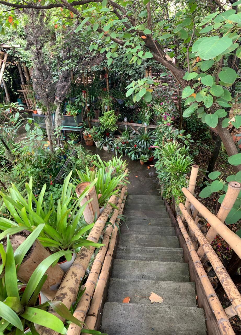 Jardín Botánico Real de Colombia.