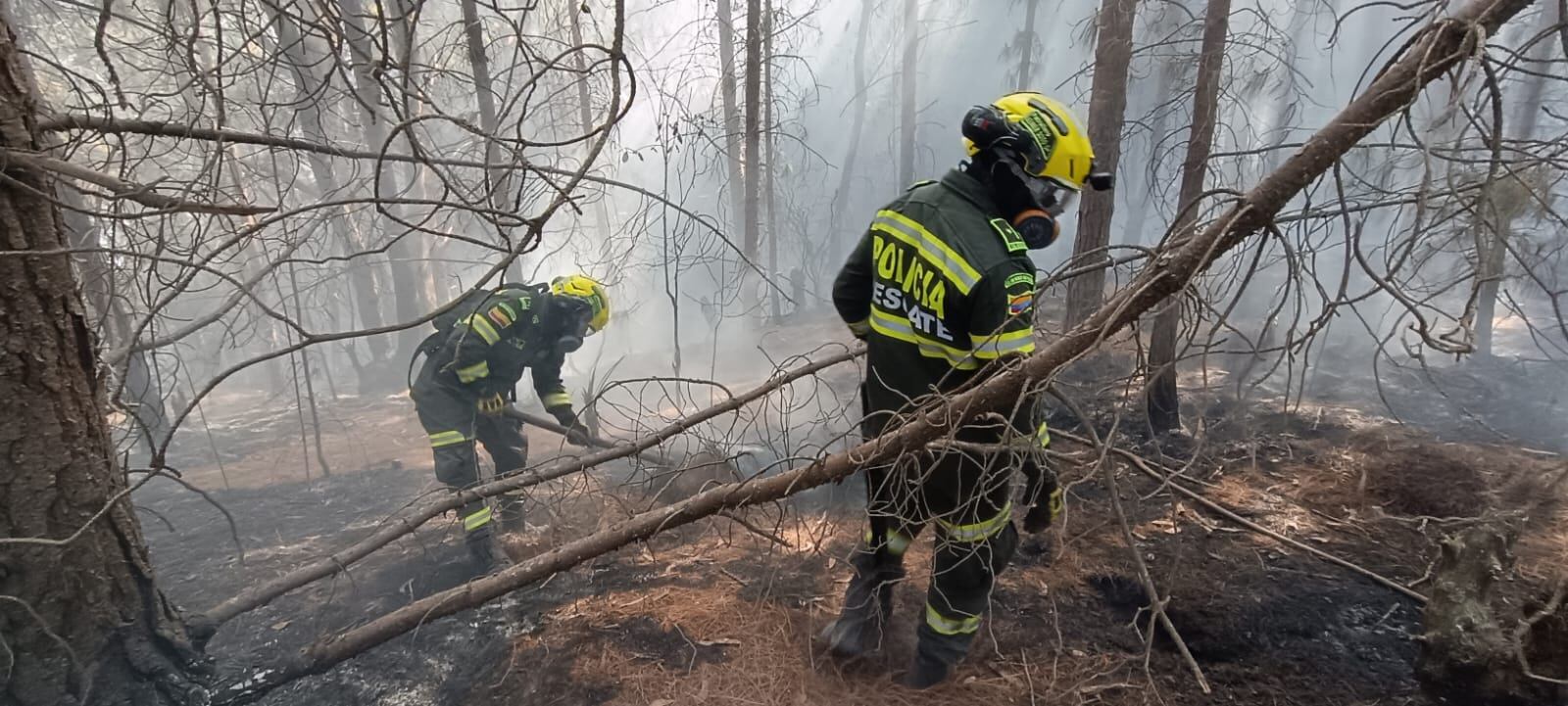 Incendio forestal en los cerros orientales  en Bogotá