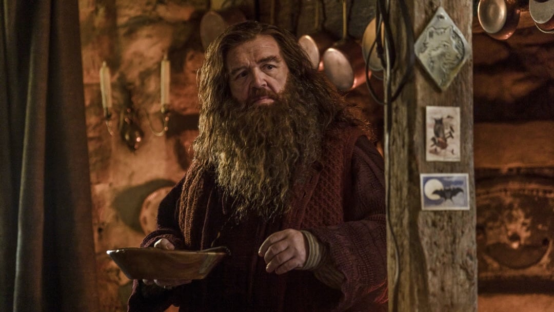 Jasper Talbot y Hannah Chinn asumirán los papeles de James y Lily Potter; mientras que Harry Gilby dará vida a Charlie Weasley en la primera temporada de Harry Potter en HBO Max