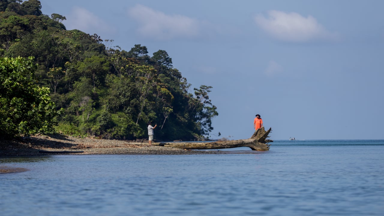 Gorgona es una isla ubicada a 28 km al oeste de la costa del Pacífico colombiano. Junto con Malpelo, son las únicas islas de Colombia en el océano Pacífico. Gorgona tiene una longitud de 9 km por 2,5 km de anchura, con una extensión de unos 26 km² aproximadamente de superficie.