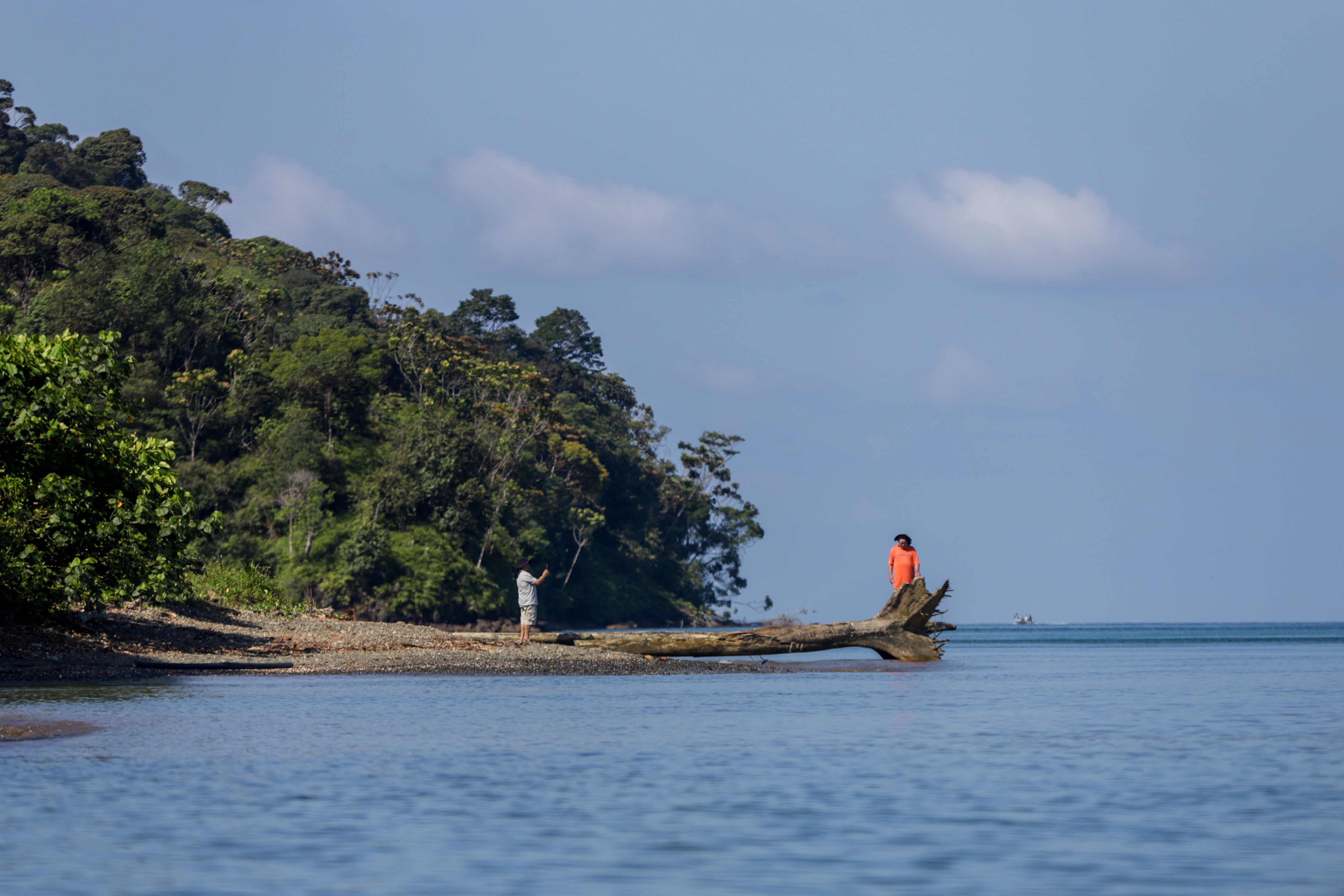 Gorgona es una isla ubicada a 28 km al oeste de la costa del Pacífico colombiano. Junto con Malpelo, son las únicas islas de Colombia en el océano Pacífico. Gorgona tiene una longitud de 9 km por 2,5 km de anchura, con una extensión de unos 26 km² aproximadamente de superficie.