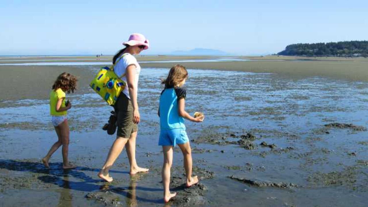Desde bebés hasta los 5 años: Lo ideal es que en esta etapa de la vida se consoliden lazos familiares y se fortalezcan los primeros conceptos de felicidad y tranquilidad. Es por eso que la página dedicada a temas de turismo sugiere que las playas son los sitios ideales para los más pequeños visiten.