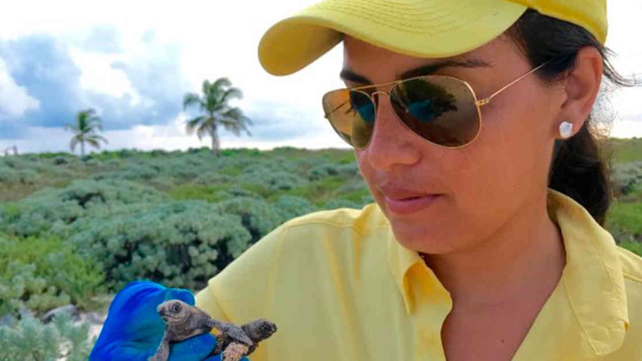 Fotos: Fundación Tortugas del Mar