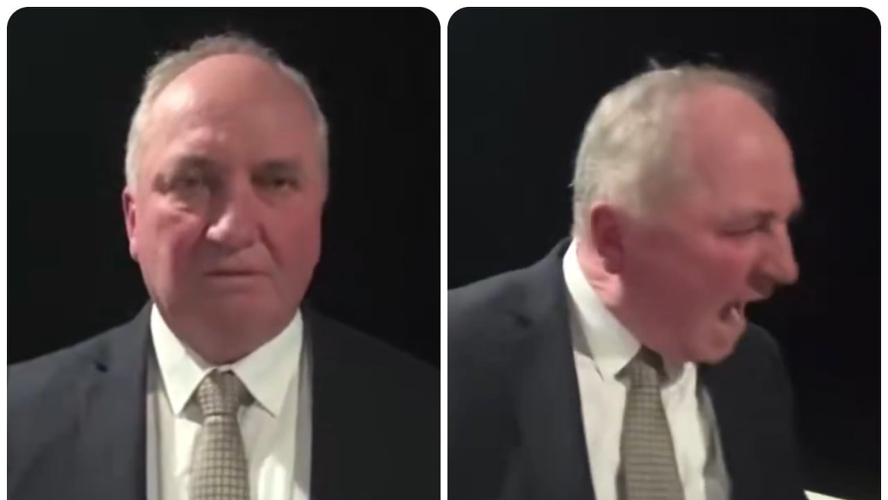 Barnaby Joyce deteniéndose a mitad de una entrevista en ABC 7.30 para gritarle "Siéntate" a su perro.