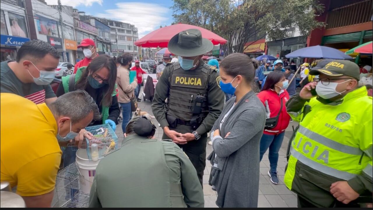 Comerciantes rompieron sellos de la policía y continúan comercializando animales, denuncia Concejal