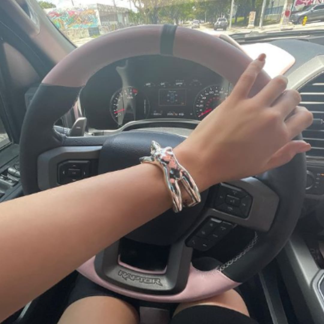 Volante de la camioneta Ford de Rosalía