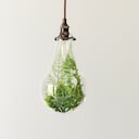 Especial SSPP Sostenibilidad