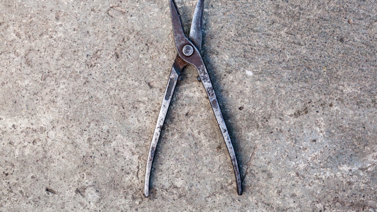 Los detectives de la Unidad de Delitos Mayores de MCSO se enteraron que Wilson además, mostró un par de pinzas ensangrentadas a varios testigos.