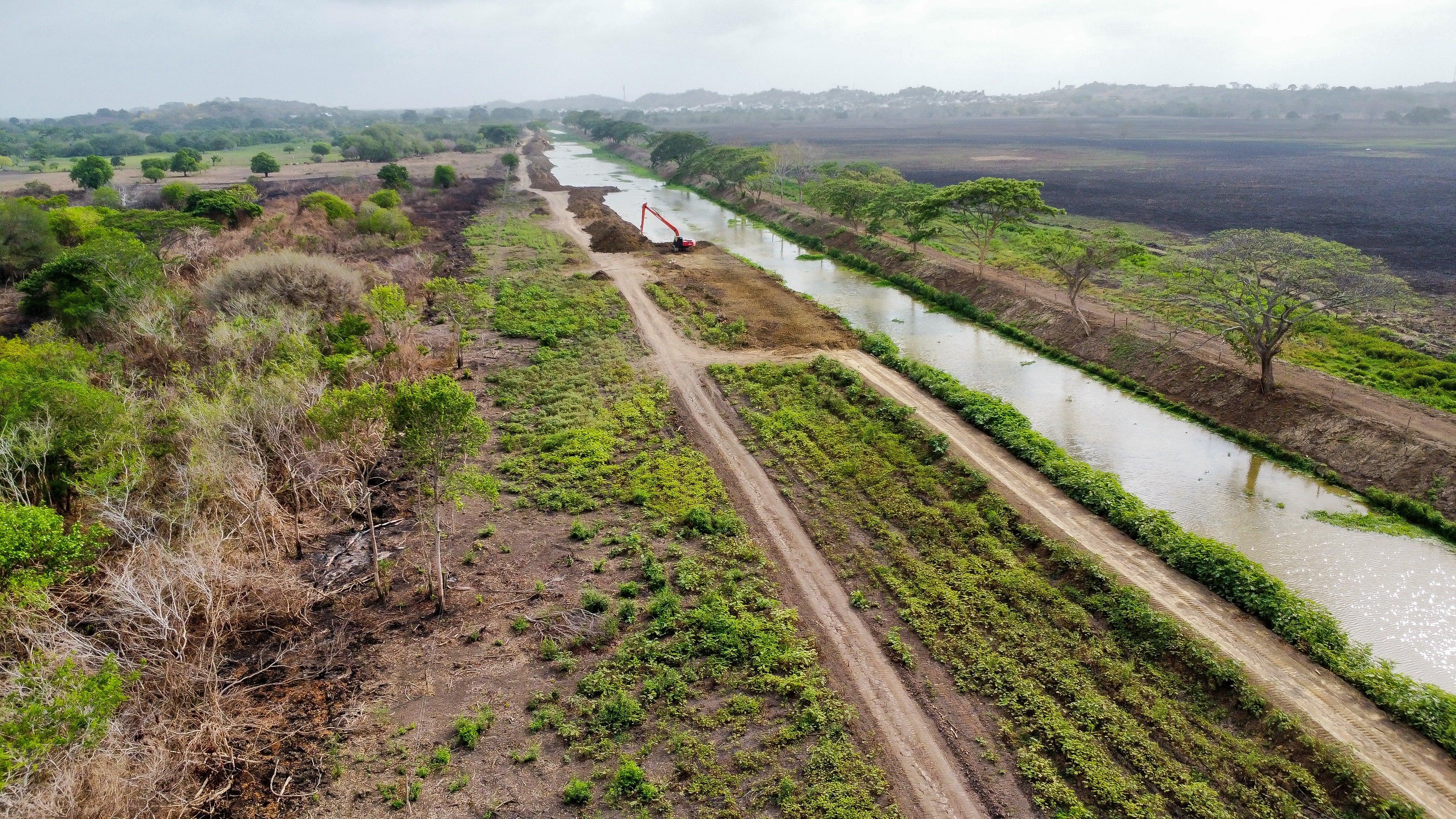 La Corporación Autónoma Regional de los Valles del Sinú y del San Jorge hoy lideran múltiples estrategias para la conservación y el cuidado del medio ambiente en Córdoba.
