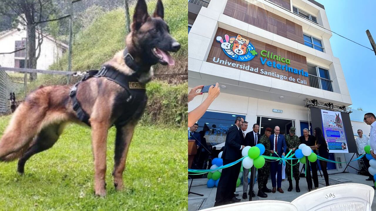 En homenaje a Wilson, inauguran clínica veterinaria en Cali.