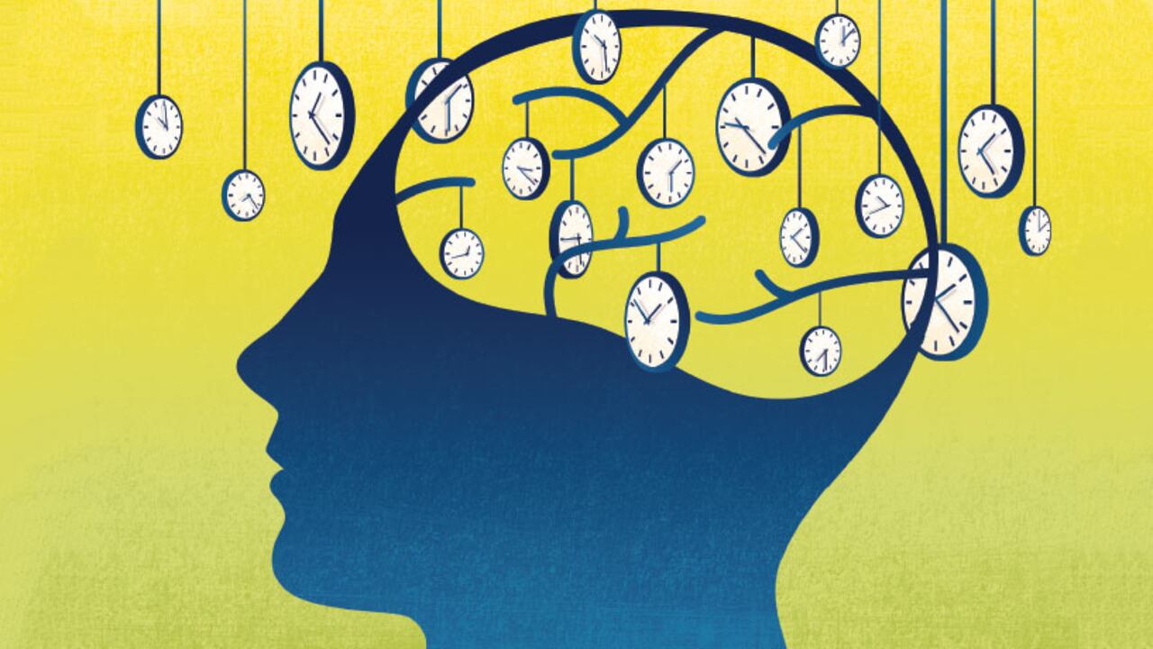 Percepción tiempo y cerebro