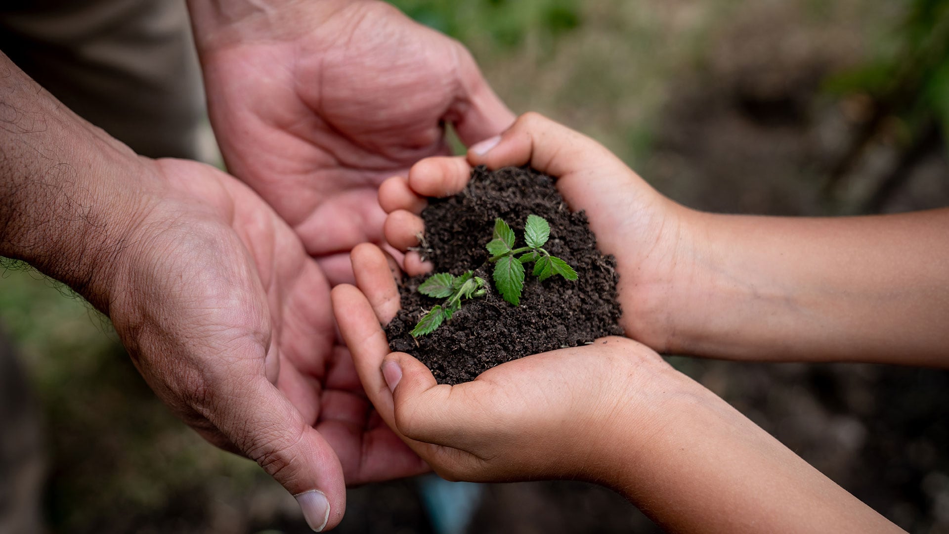 Compromiso con el medio ambiente, las comunidades de influencia y su entorno, más que filantropía, es una estrategia de negocios.