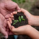 Compromiso con el medio ambiente, las comunidades de influencia y su entorno, más que filantropía, es una estrategia de negocios.