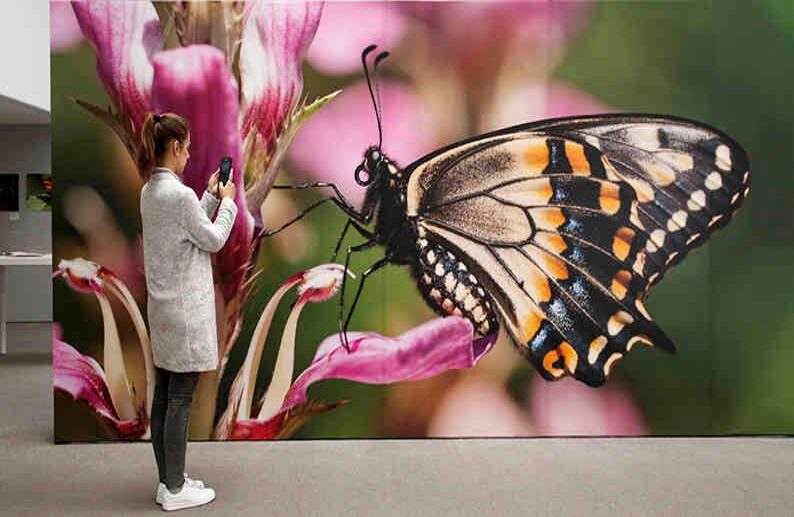 La muestra, disponible hasta diciembre, está en la sala de exposiciones temporales de la Biblioteca Luis Ángel Arango. La foto que está en la exposición es de Catalina Londoño Carter. Foto:  Guillermo Torres Reina.