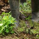 El desminado humanitario ha beneficiado a más de 2,1 millones de colombianos.