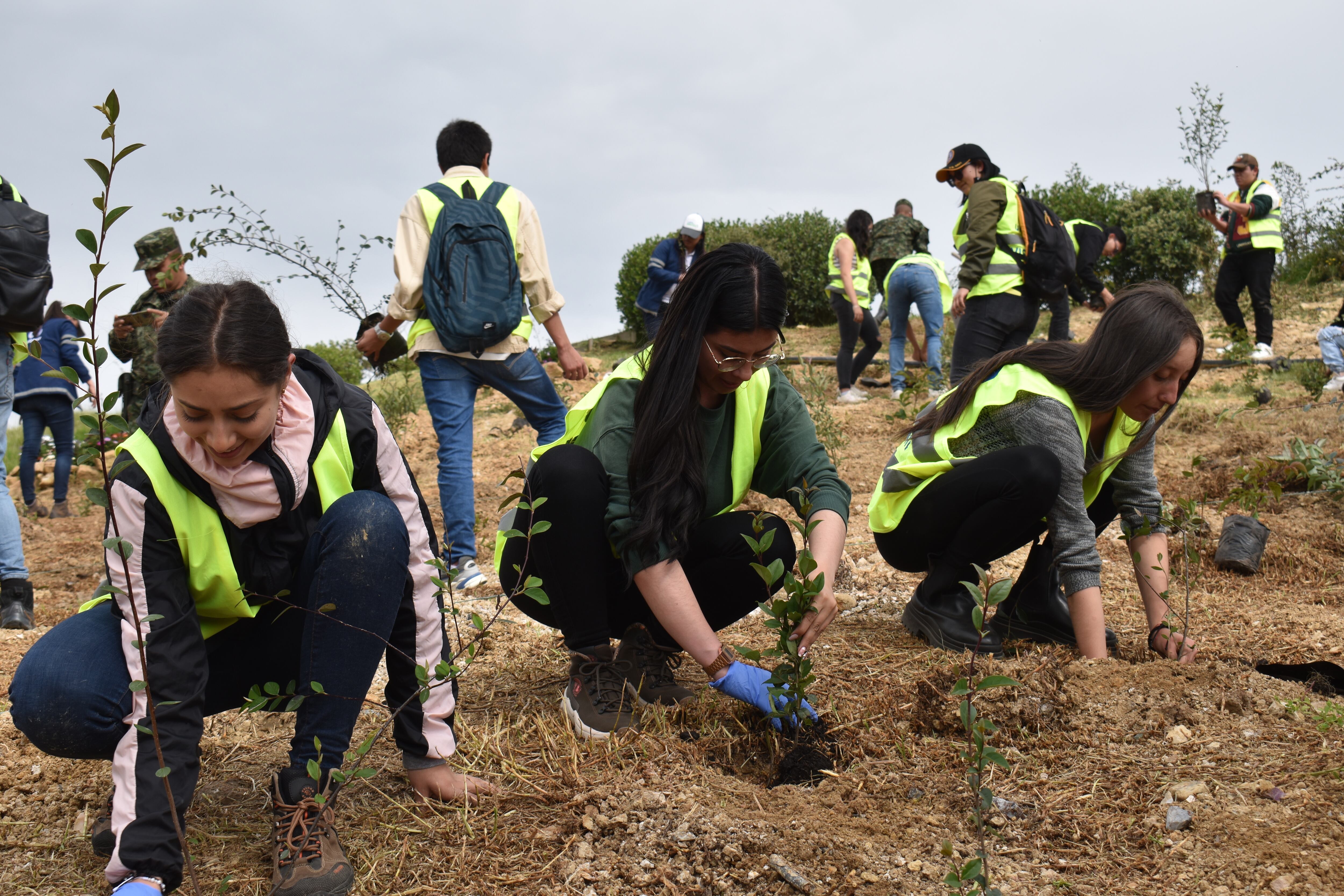 Siembra de árboles, estudiantes Universidad Santo Tomás sede Tunja.