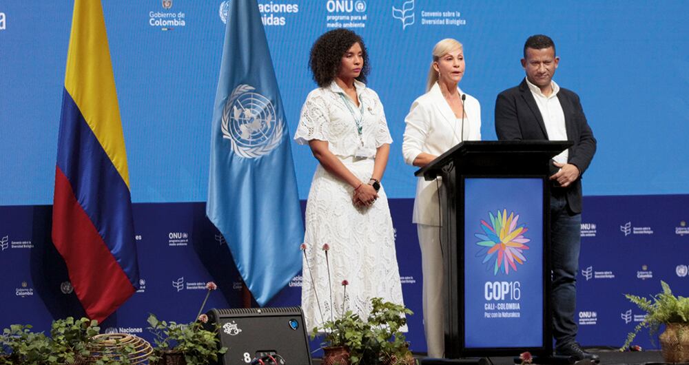 Los gobernadores de Cauca, Valle, Chocó y Nariño señalaron que se debe crear un fondo para ayudar a la región en la lucha ambiental. 