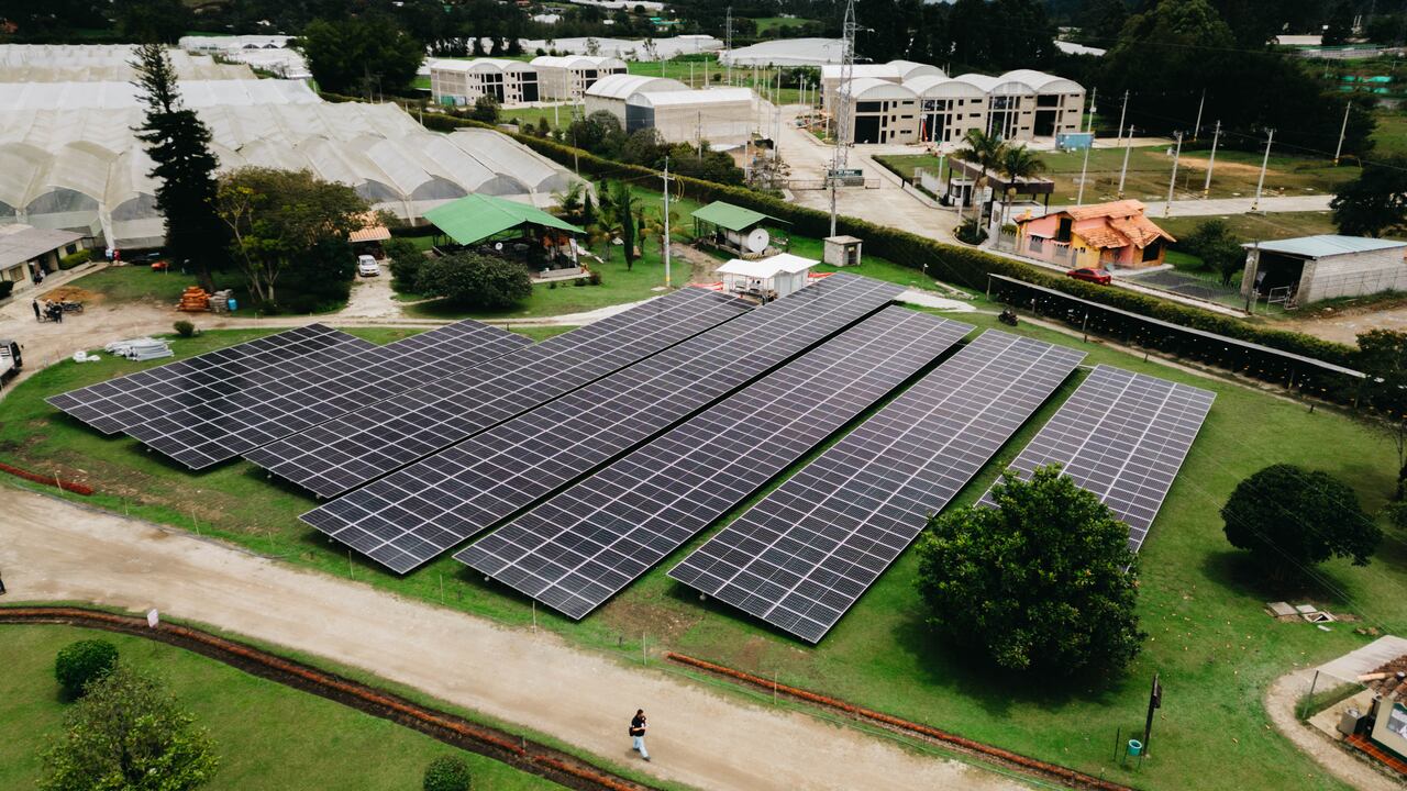 Flores Silvestres, la empresa colombiana que implementado energía fotovoltaica en sus instalaciones