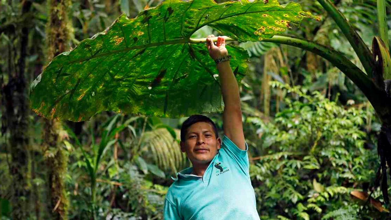 Indígenas de diferentes partes del mundo firmarán la respuesta que se le será entregada a la ONU. Foto: archivo/Semana.