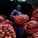 Timothy Kinyua descarga sacos de cebollas etíopes en un mercado al aire libre en Nairobi, Kenia, el martes 12 de septiembre de 2023. Las restricciones sobre la exportación de ese vegetal en la vecina Tanzania han multiplicado por tres los precios en Kenia. (AP Foto/Brian Inganga)