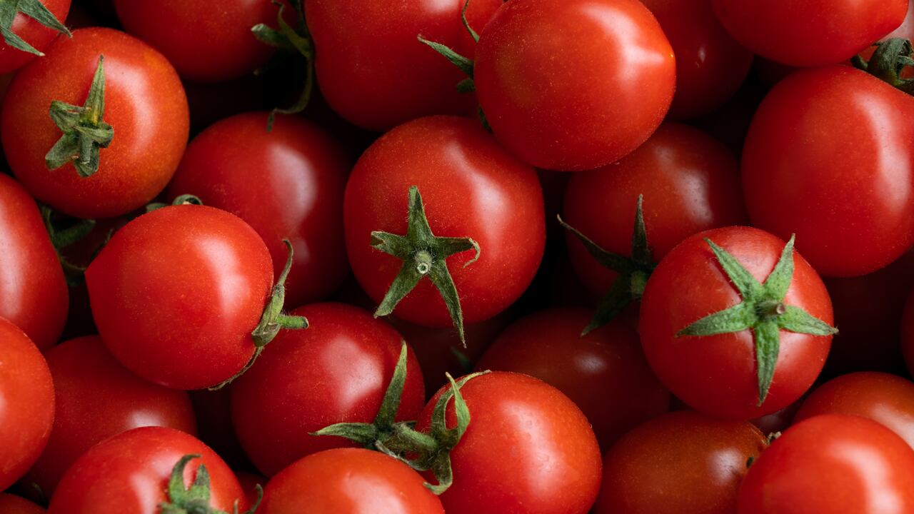 Los tomates están compuestos de agua y vitaminas.