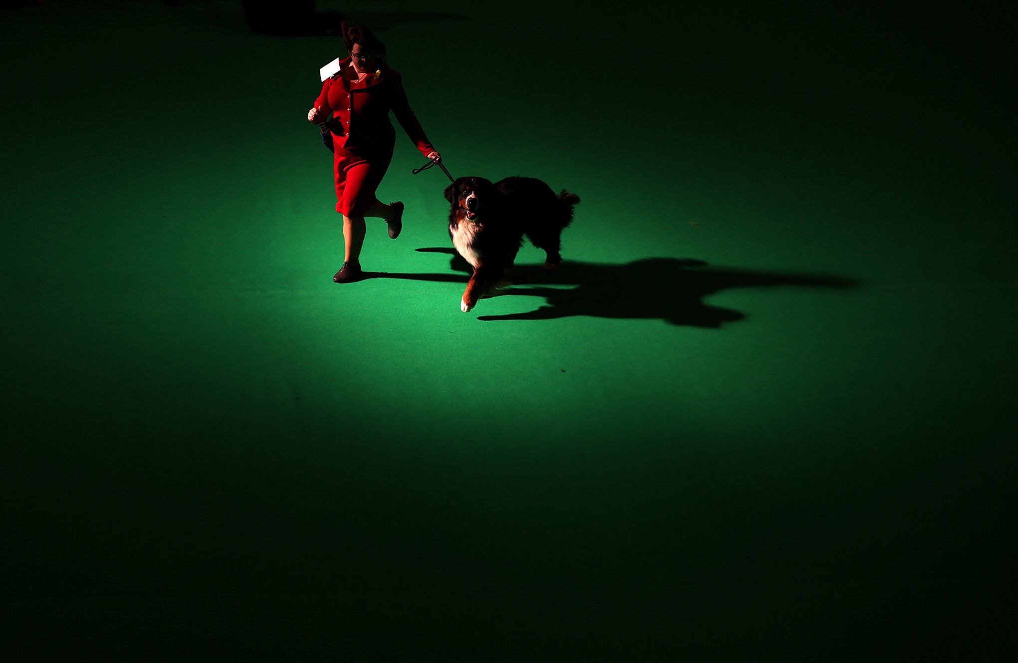 Fotos de la semana 11 marzo.docx